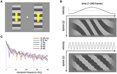 Sensitivity to Acceleration in the Human Early Visual System